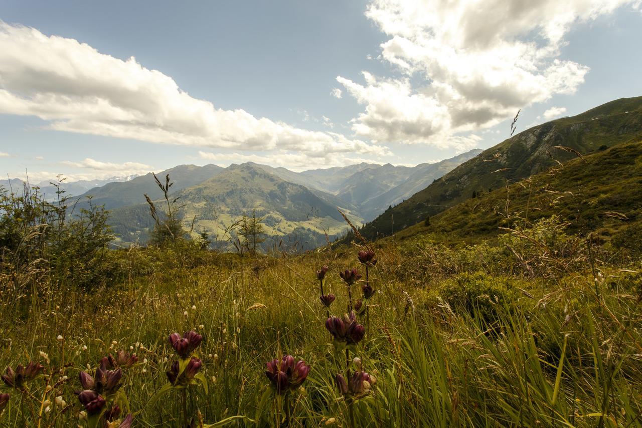 דירות Apart Sprenger Fugen Im Zillertal מראה חיצוני תמונה