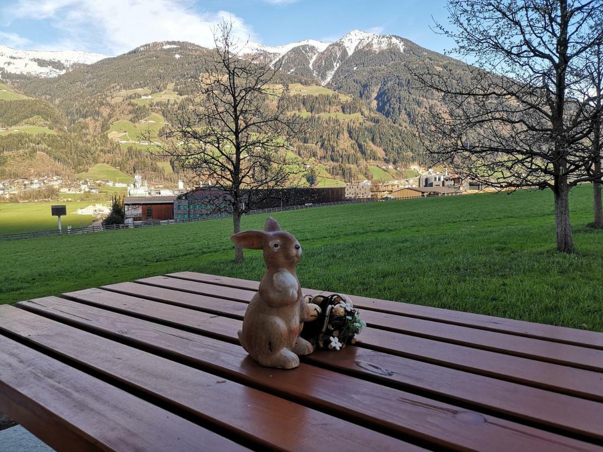 דירות Apart Sprenger Fugen Im Zillertal מראה חיצוני תמונה